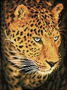 Leopard Portrait, 40 x 30cm